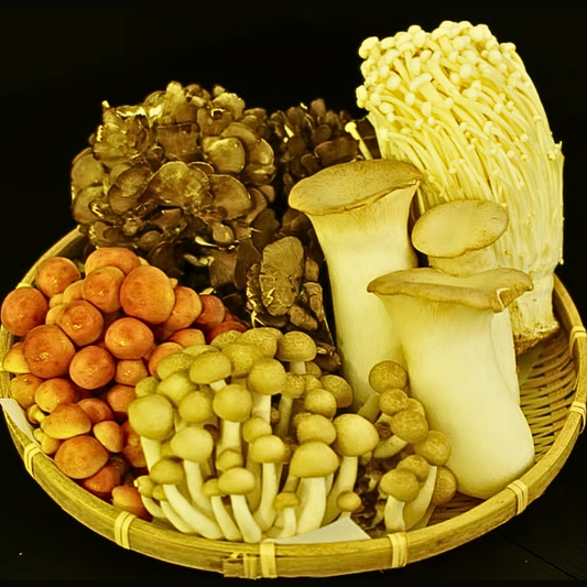 【10月〜6月発送】信州の恵み 無農薬きのこ5種食べ比べ 産地直送セット