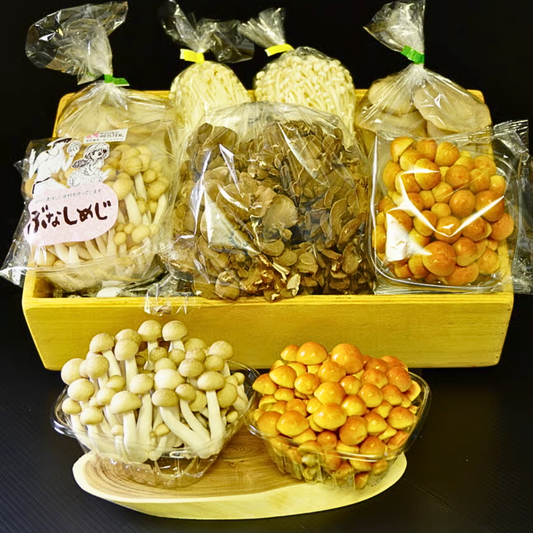 【10月〜6月発送】信州の恵み 無農薬きのこ5種食べ比べ 産地直送セット