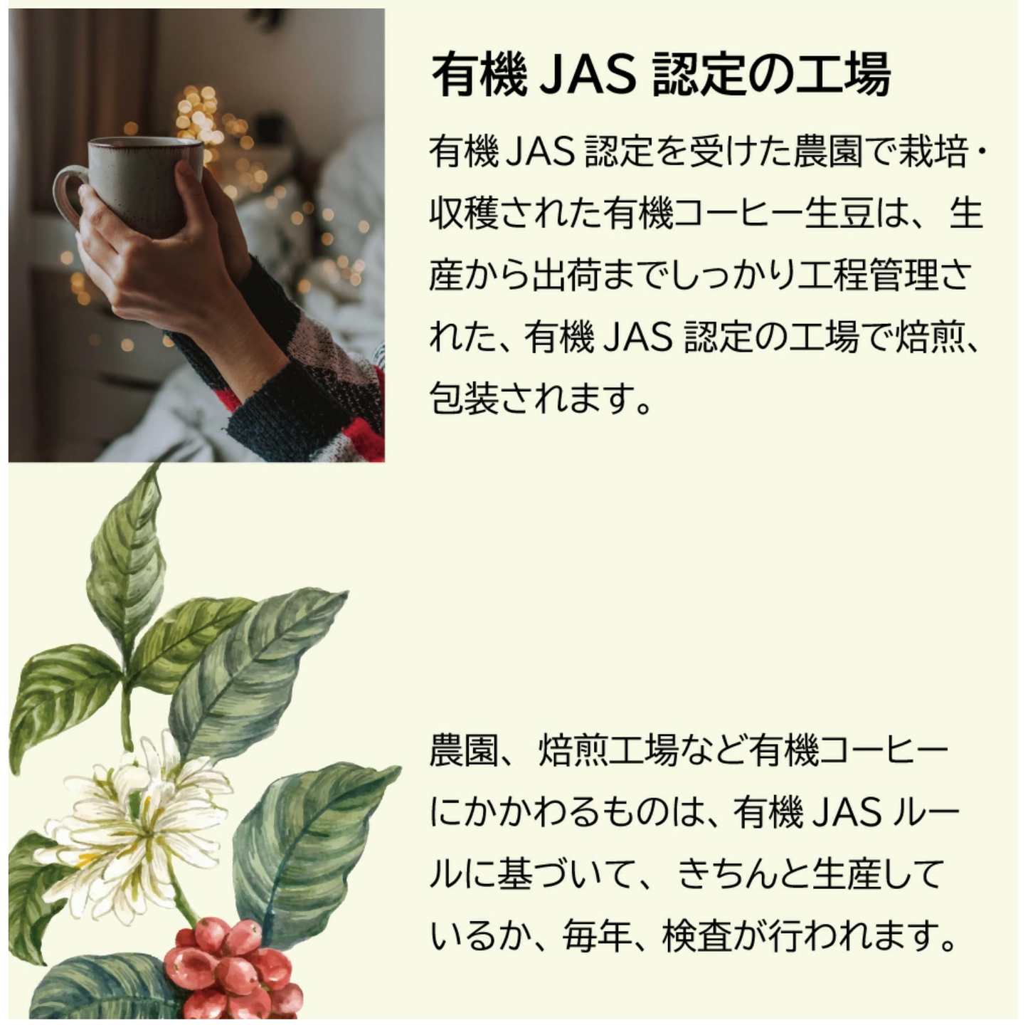 有機栽培コーヒー3種とブルマン・モカ・キリマン人気3種ブレンドセット