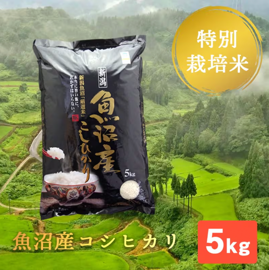 【残留農薬ゼロ】魚沼産コシヒカリ 精米 5kg / 棚田米