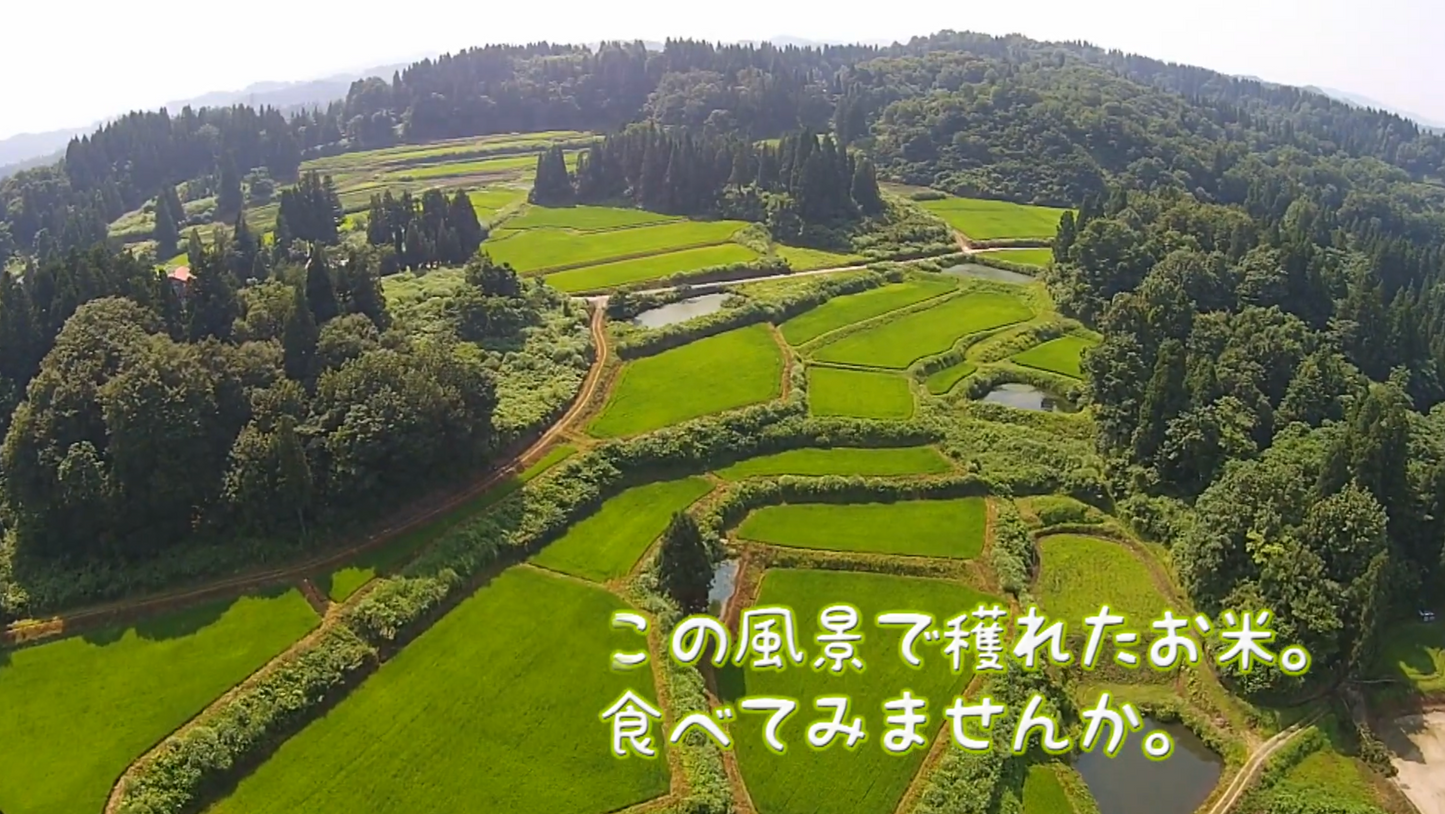 【11月〜3月限定】【残留農薬ゼロ】魚沼産コシヒカリ杵つき餅/白餅(4パック/32枚入り)