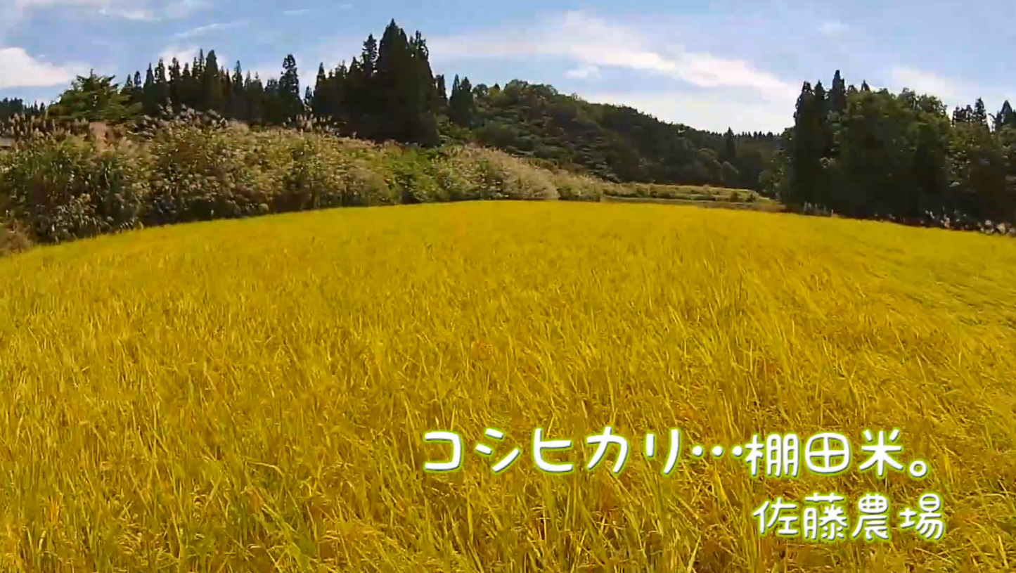 【11月〜3月限定】【残留農薬ゼロ】魚沼産コシヒカリ杵つき餅/白餅(4パック/32枚入り)