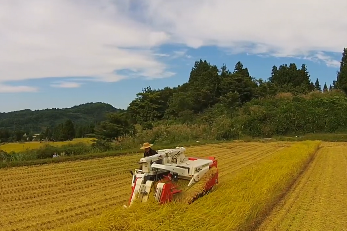 【11月〜3月限定】【残留農薬ゼロ】魚沼産コシヒカリ杵つき餅食べ比べ4種セット(4パック/32枚入り)
