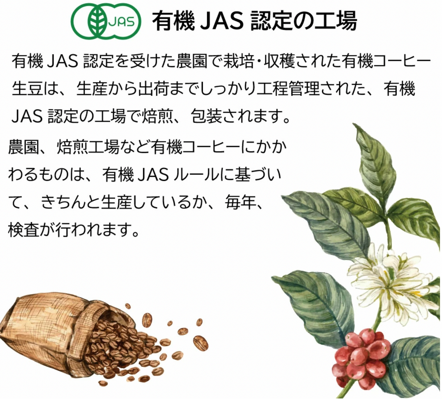 有機栽培コーヒー3種 100g x 各2袋、計600g（ペルーアルトアンデス、グアテマラ、モカブレンド）