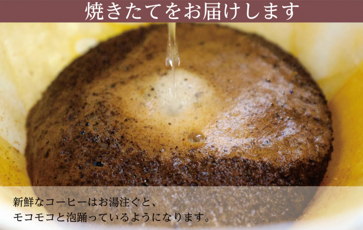 有機栽培コーヒー3種 100g x 各2袋、計600g（ペルーアルトアンデス、グアテマラ、モカブレンド）