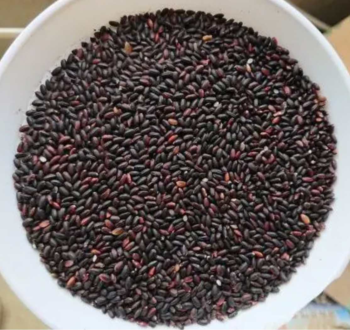 【残留農薬ゼロ】魚沼産コシヒカリ 黒米あまざけ/500ml/4本