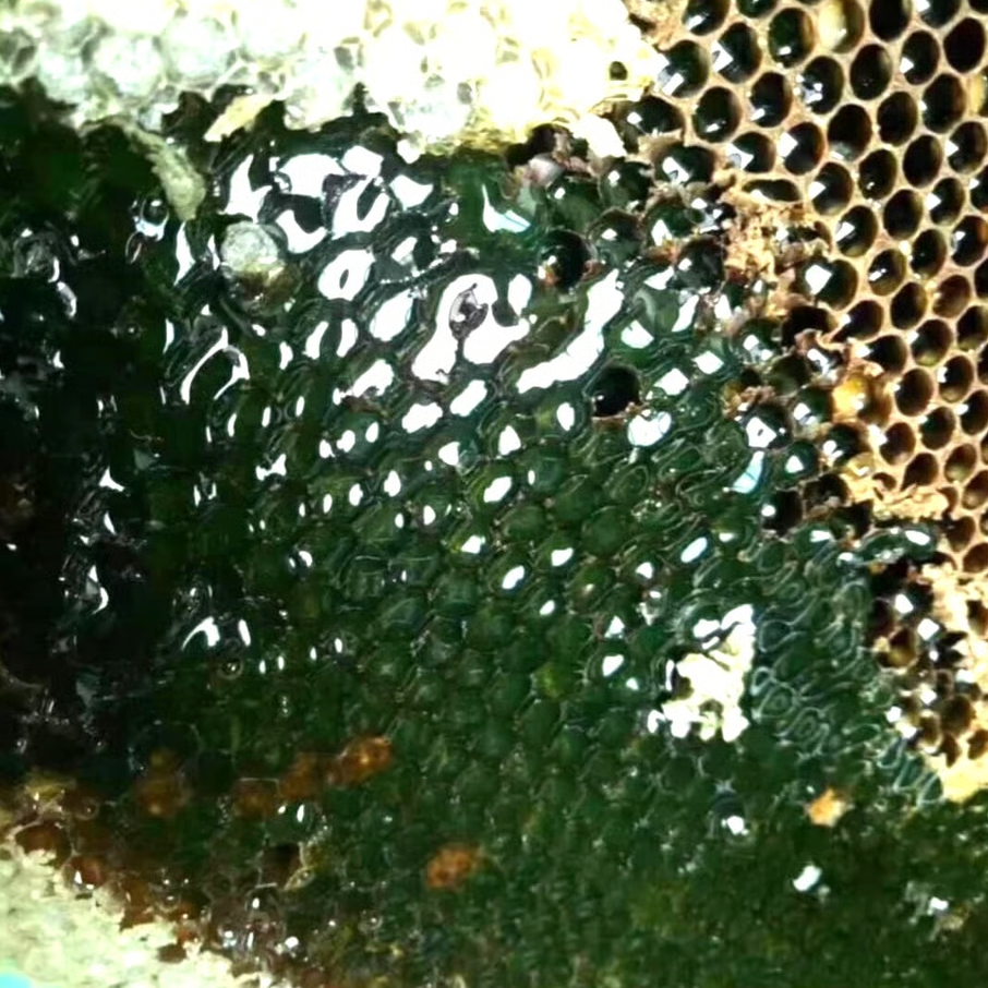 Pure Wild Rowミンダナオエメラルドハニー 100g x 2セット