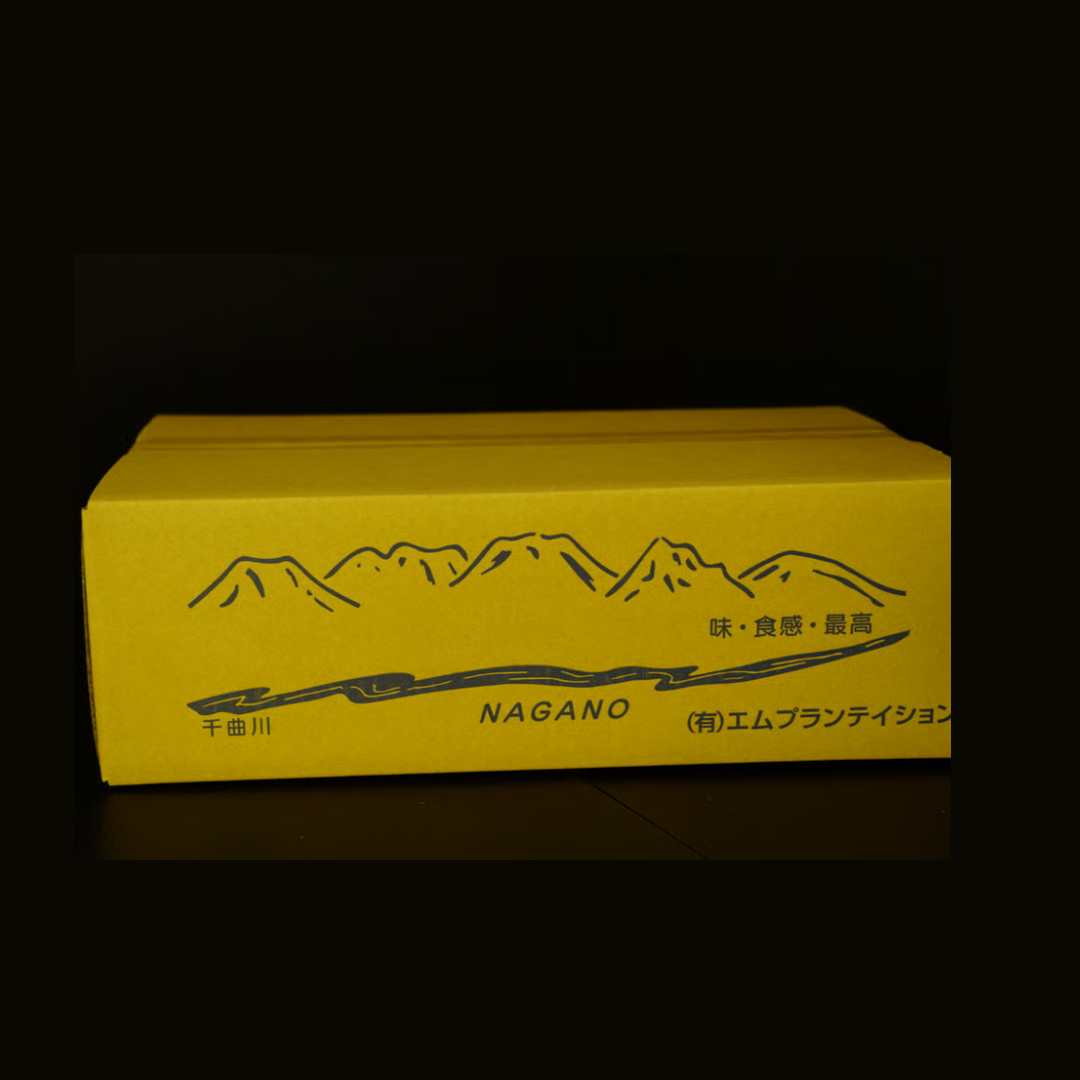 【10月〜6月発送】信州の恵み 無農薬きのこ5種食べ比べ 産地直送セット